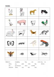 English worksheet: animals