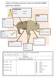 what was the buffalo used for - passive voice 