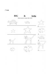 English Worksheet: big and little