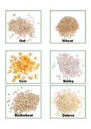 English Worksheet: Types of Grains Flashcards