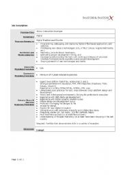 English Worksheet: Developer Role