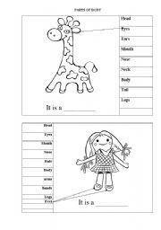 English Worksheet: Parts of body