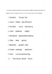 English Worksheet: Identifying Nouns Worksheet