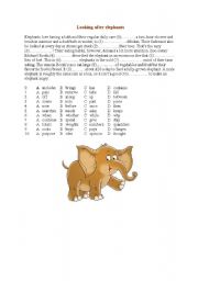 English worksheet: Looking after elephants