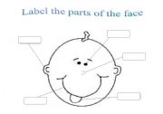 English Worksheet: FACE PARTS
