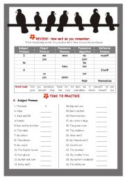 English Worksheet: pronoun salad