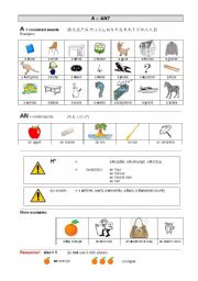 English Worksheet: A or AN?