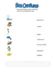 English worksheet: Sea creatures connect