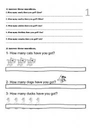 English Worksheet: How many ... have you got?