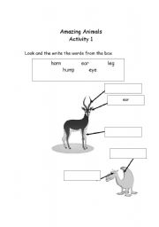 English worksheet: animals