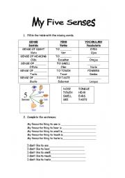 English Worksheet: My five senses