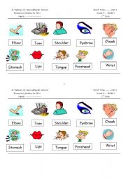 English worksheet: parts of the body