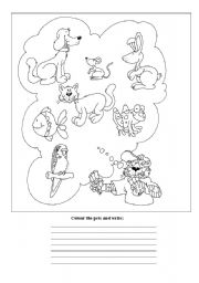 English Worksheet: Colour and write