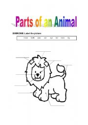 English worksheet: Parts of the animal