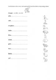 English worksheet: animals