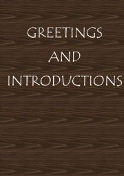 English Worksheet: greetings and introductions