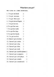 English Worksheet: What have you got?