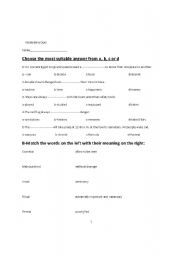 English worksheet: vocabulary