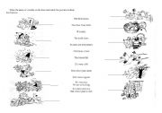 English Worksheet: Months