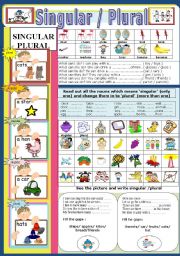 English Worksheet: Singular and Plural