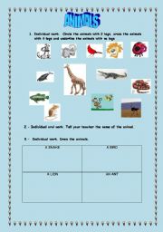 English worksheet: ANIMALS