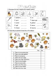 English Worksheet: Pets