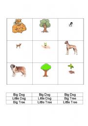 English worksheet: Big vs. Little