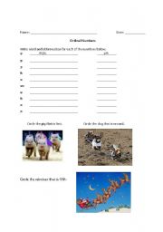 English worksheet: Basic Practice with Ordinal Numbers