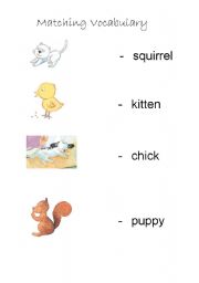English worksheet: Matching worksheet for animal