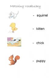 English Worksheet: Matching worksheet for animal
