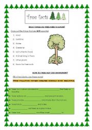 English Worksheet: deforestation: why are trees important? 2