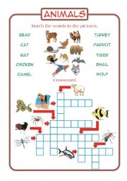 English Worksheet: Animals