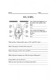 English Worksheet: Ligaments of the knee