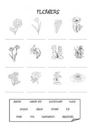 English Worksheet: Flowers pictionary 1-1