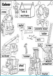 English Worksheet: tools