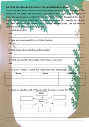 English Worksheet: Reading Comprehension