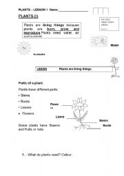 English worksheet: The plants lover