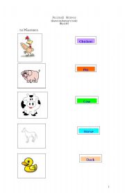 English worksheet: Animal Homes (2)