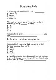 English worksheet: hummingbirds