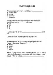 English Worksheet: hummingbirds
