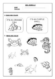 English Worksheet: SEA ANIMALS