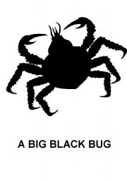 English worksheet: Tongue twister - big black bug