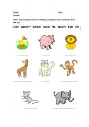English Worksheet: Animals Vocabulary