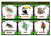 English Worksheet: Rainforest animals flashcards
