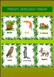 Forest animals 