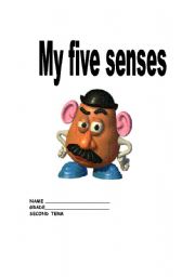 5 senses