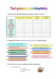 English Worksheet: A vocabulary and grammar test