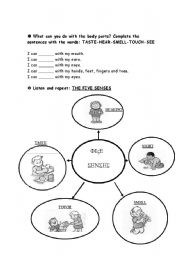 English worksheet: 5 senses (3rd part)