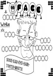 English Worksheet: face