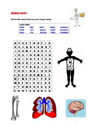 English worksheet: Human Body